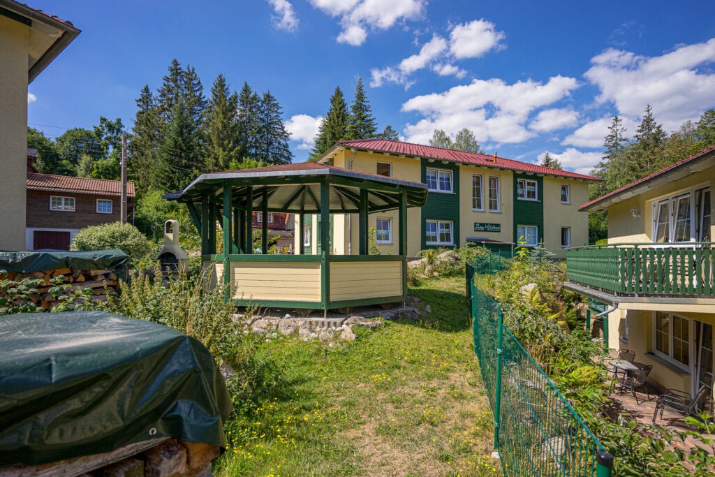Fotos harz schmalspurbahn