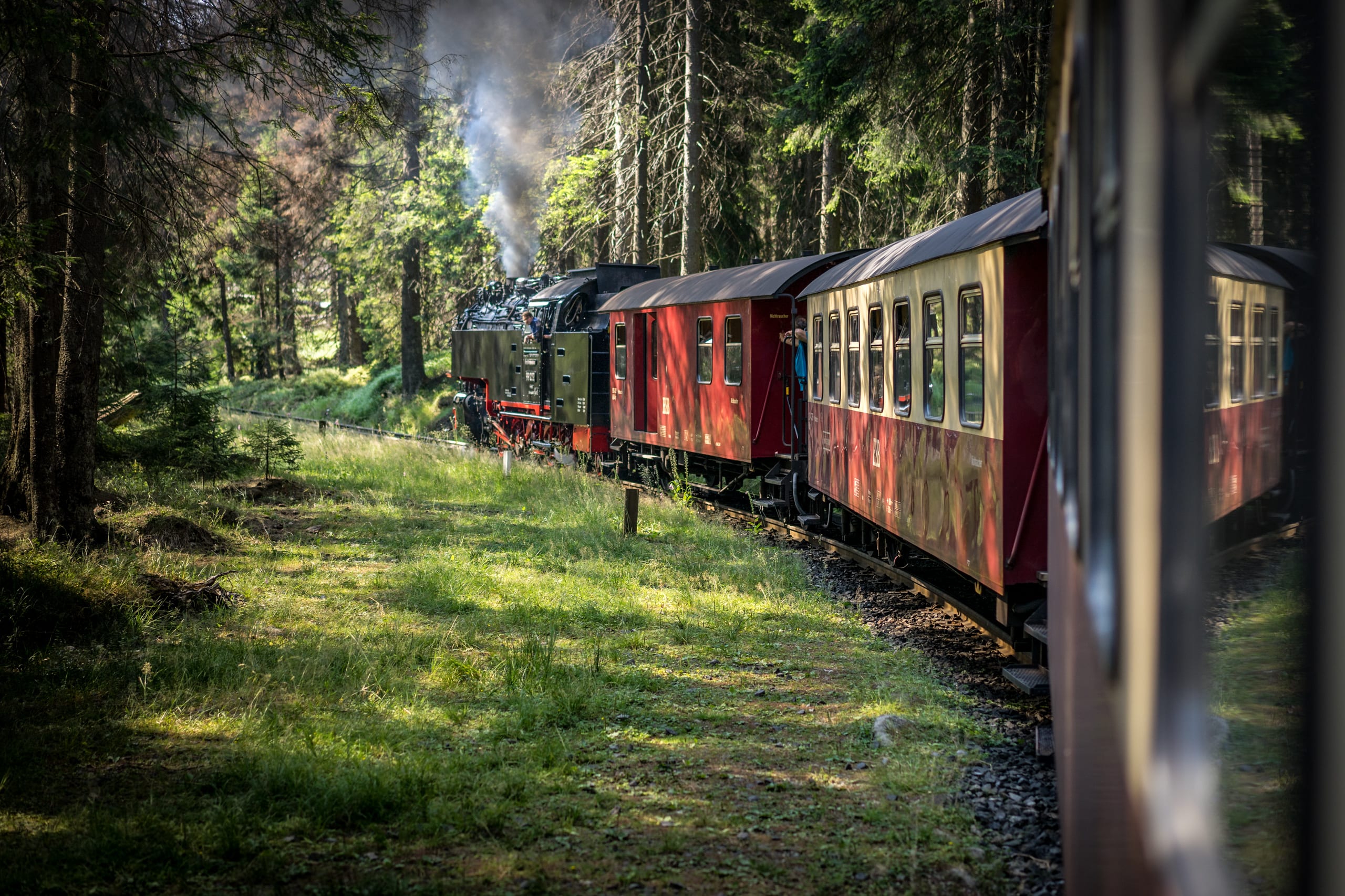 Harzer Schmalspurbahn auf dem Weg zum Brocken im Sommer
