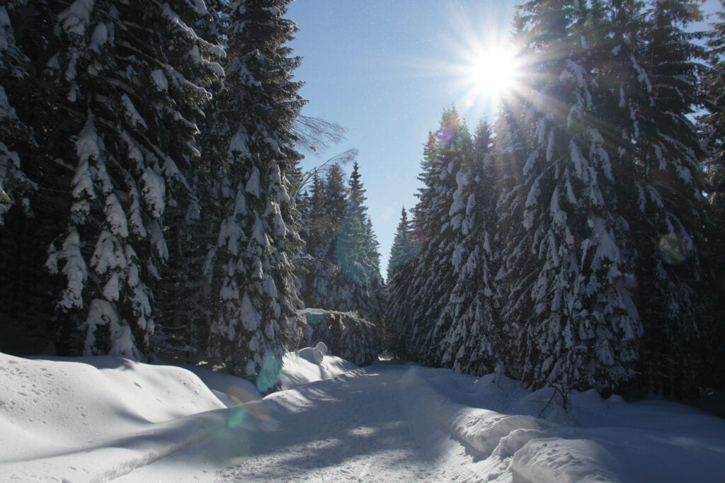 Winter in Schierke, Harz