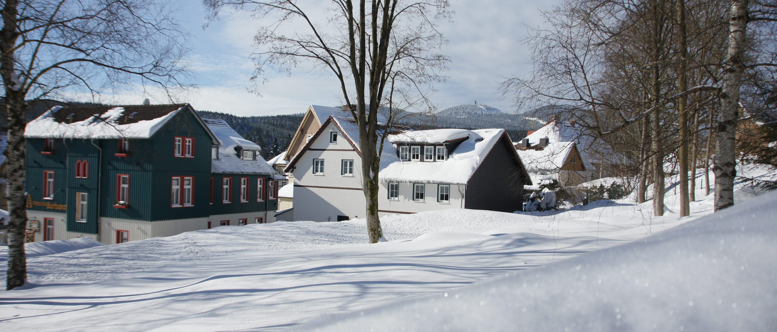 Schierke, the Schierker Feuerstein Arena and the Zum Wildbach holiday resort: A winter fairy tale in the Harz