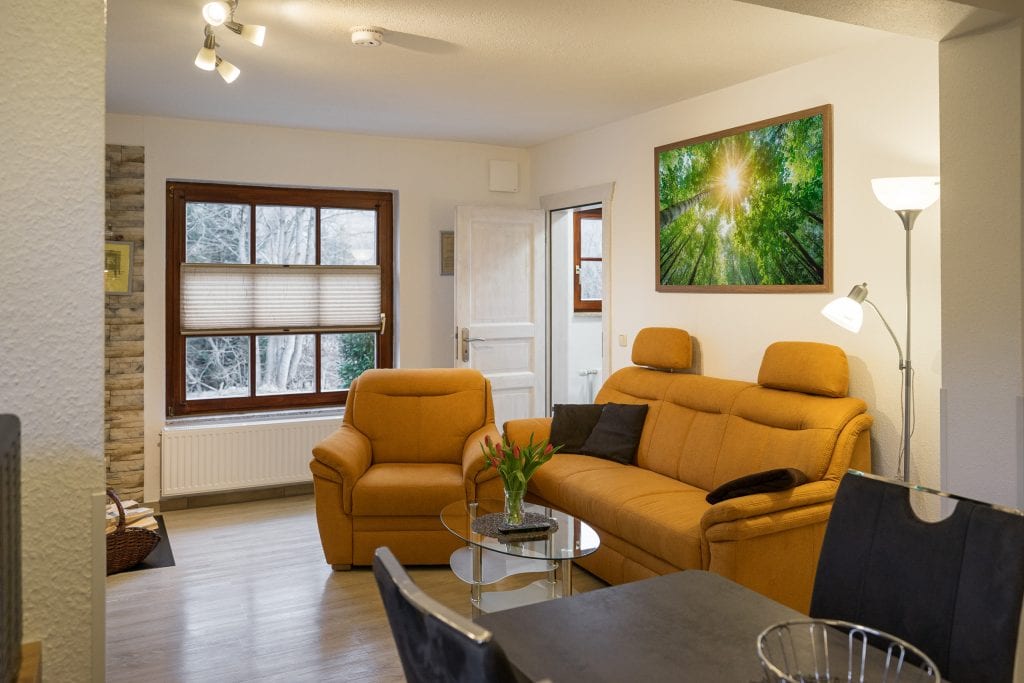 Gemütliches Wohnzimmer mit Sofa Waldblick über Schierke