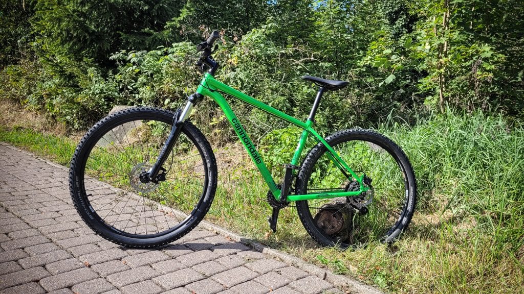 Grünes Fahrrad auf gepflastertem Weg in der Natur.