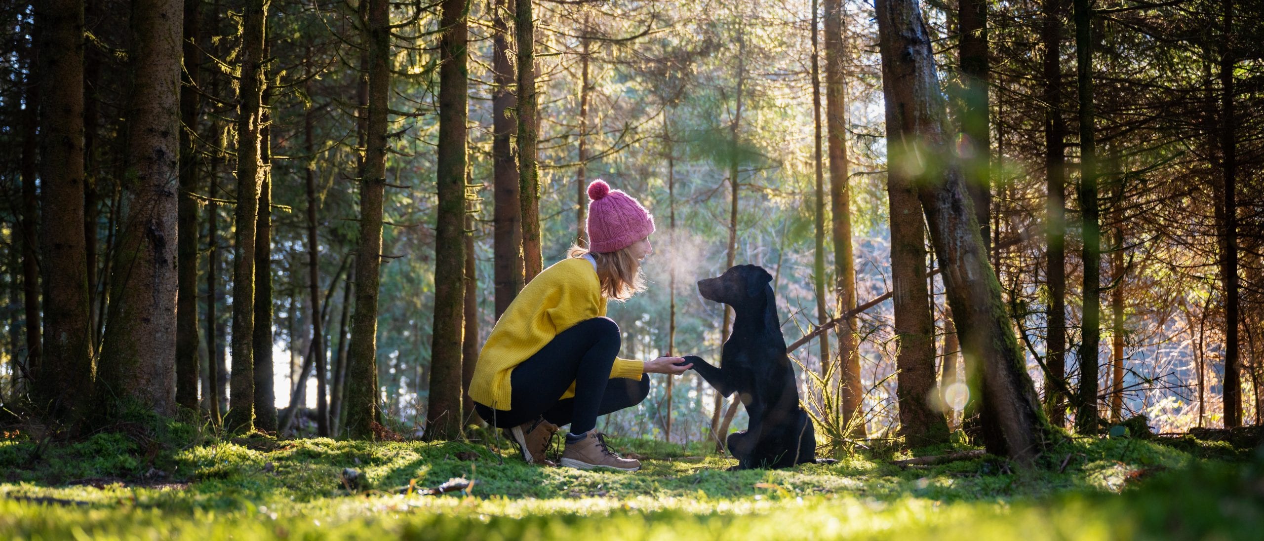 Frauchen und Hund im Wald bei einem Spaziergang, hund gibt Pfötchen