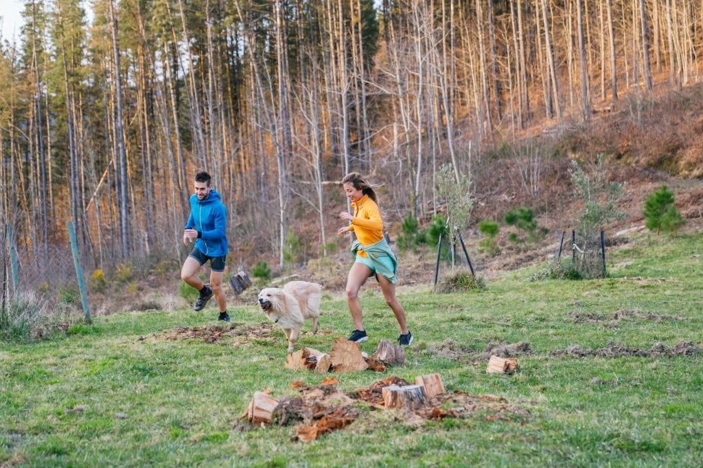 Paar läuft mit Hund auf einem Waldweg und genießt das Training im Freien.