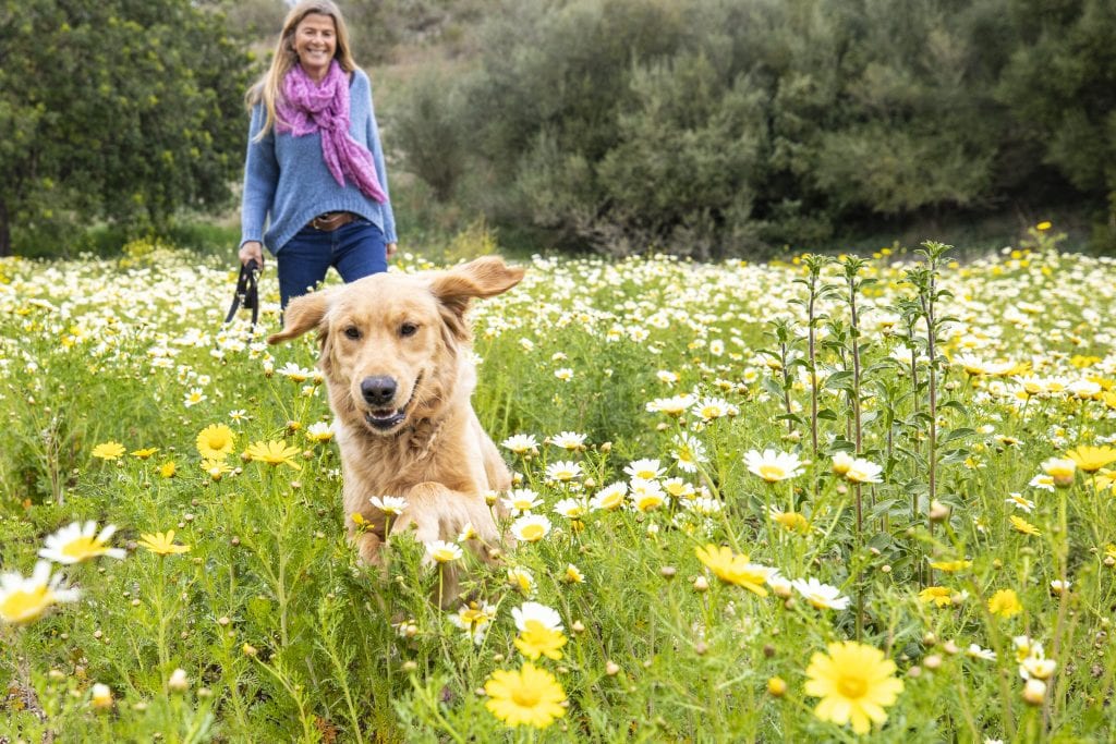 Frau genießt einen fröhlichen Spaziergang mit ihrem Hund in einem Blumenfeld.