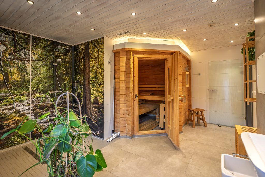Modern sauna with a relaxing ambiance and plants