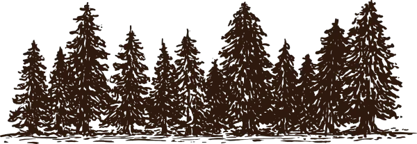 Bäume