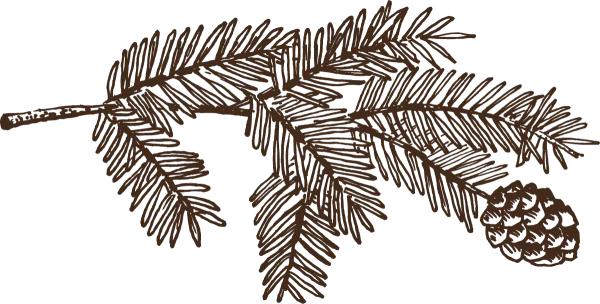 Bäume