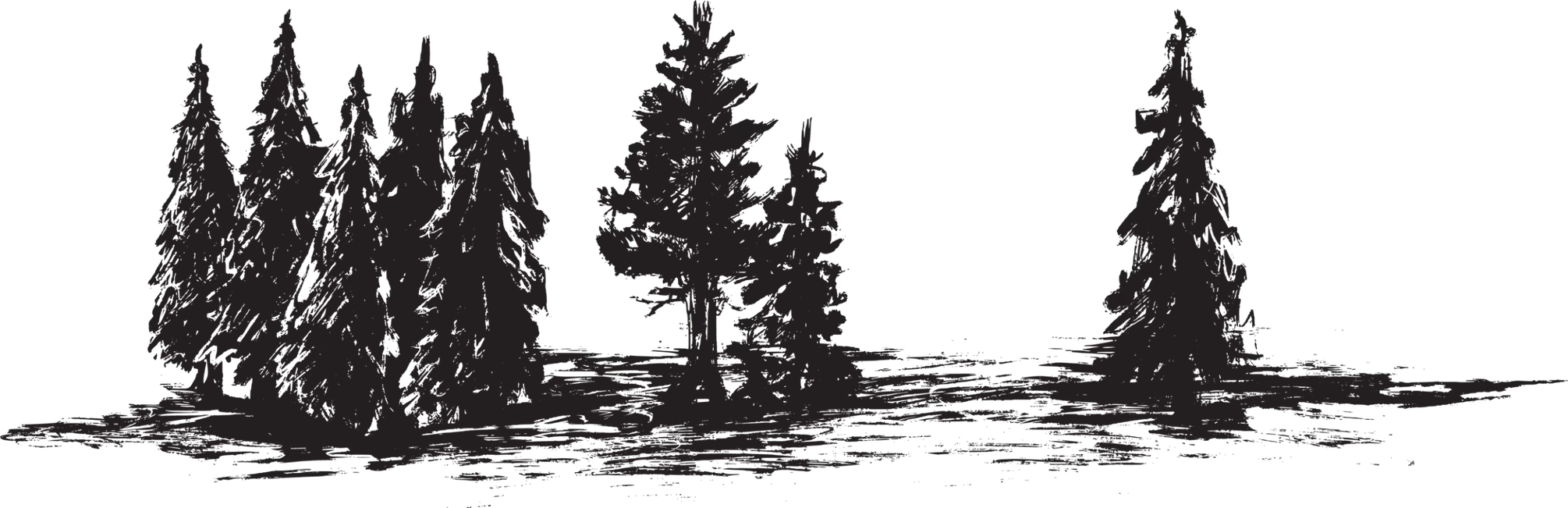 Bäume