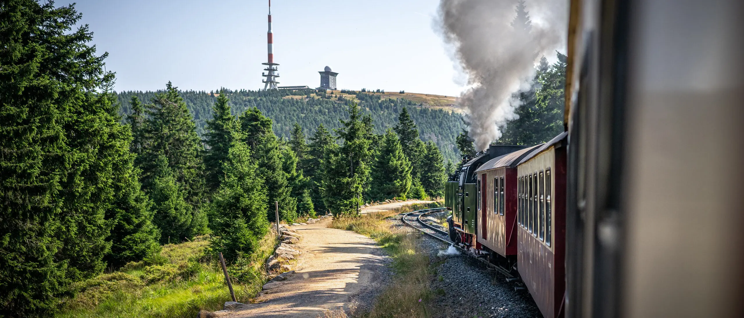 Harzer Schmalspurbahn auf dem Weg zum Brocken im Sommer
