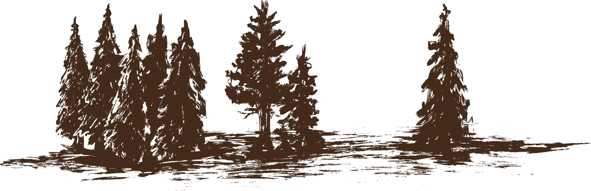 Bäume