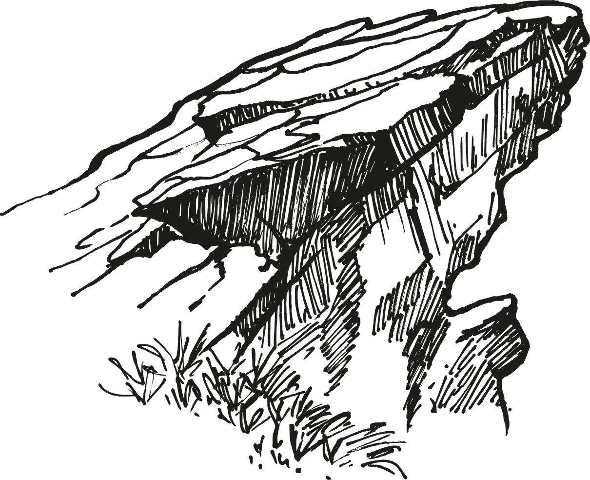 Træer