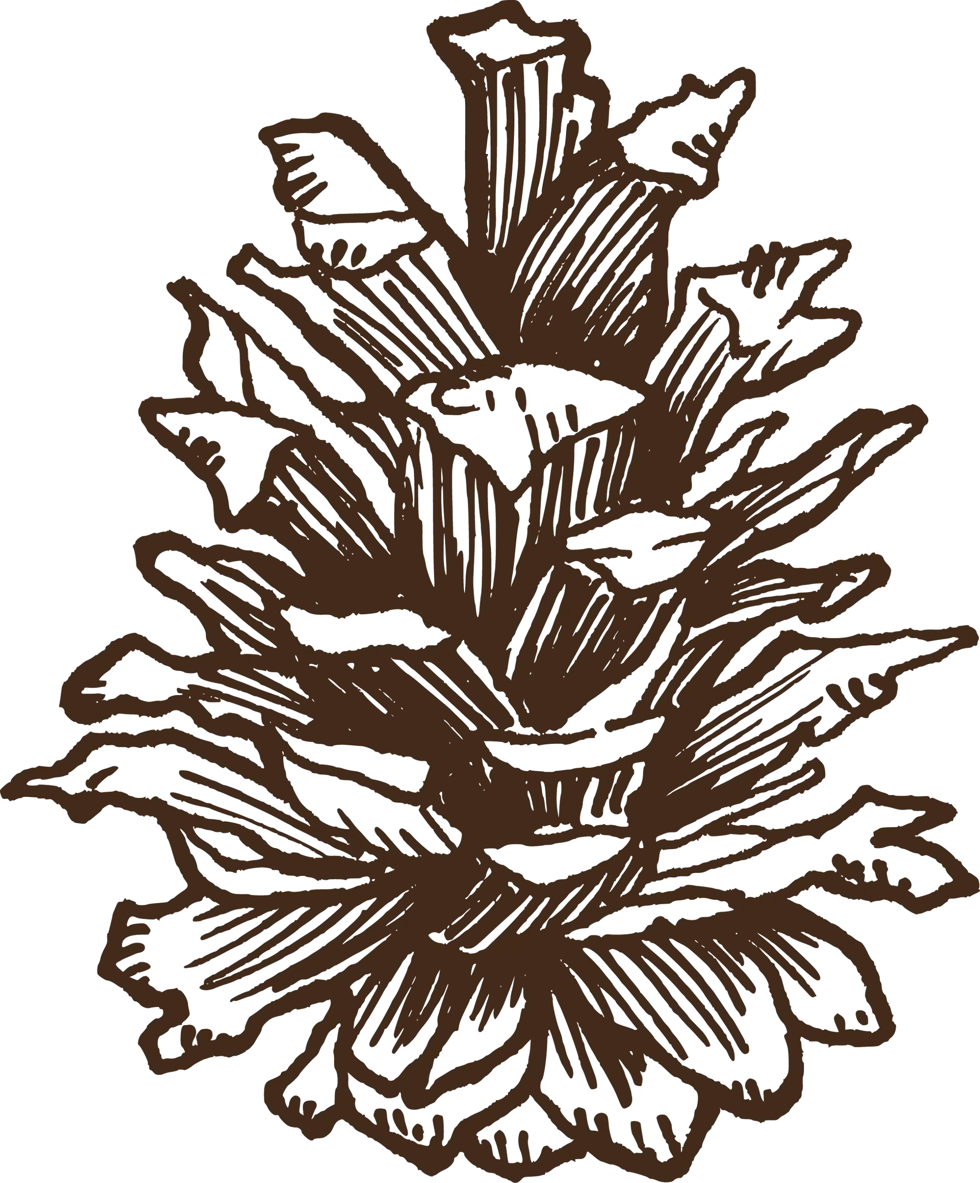 Bomen