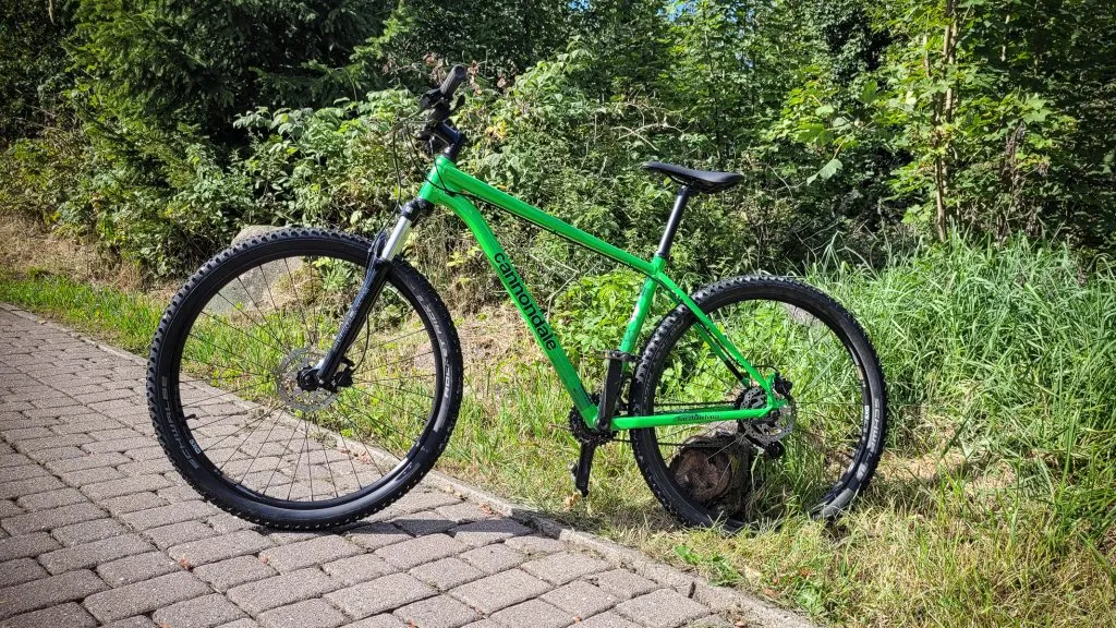 Grünes Fahrrad auf gepflastertem Weg in der Natur.