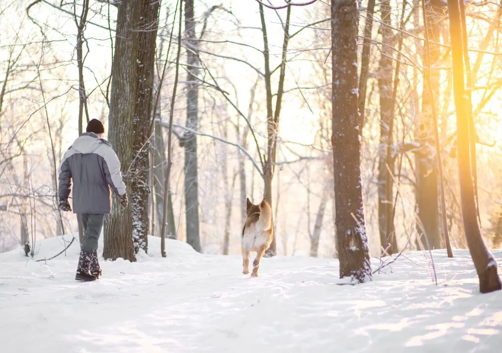 Ein Mann geht mit einem Hund an einem frostigen frühen Wintertag spazieren.