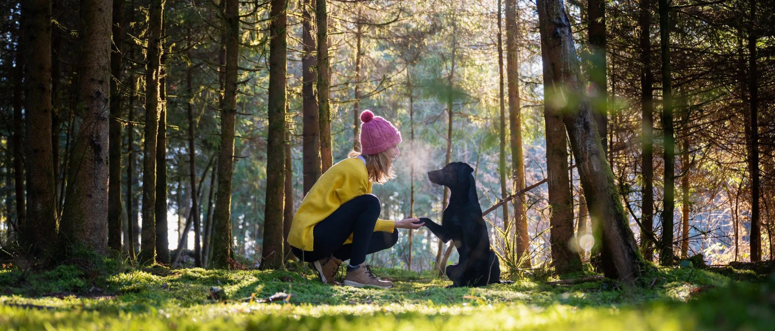 Frauchen und Hund im Wald bei einem Spaziergang, hund gibt Pfötchen