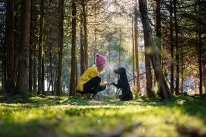 Frauchen und Hund im Wald bei einem Spaziergang, hund gibt Pfötchen