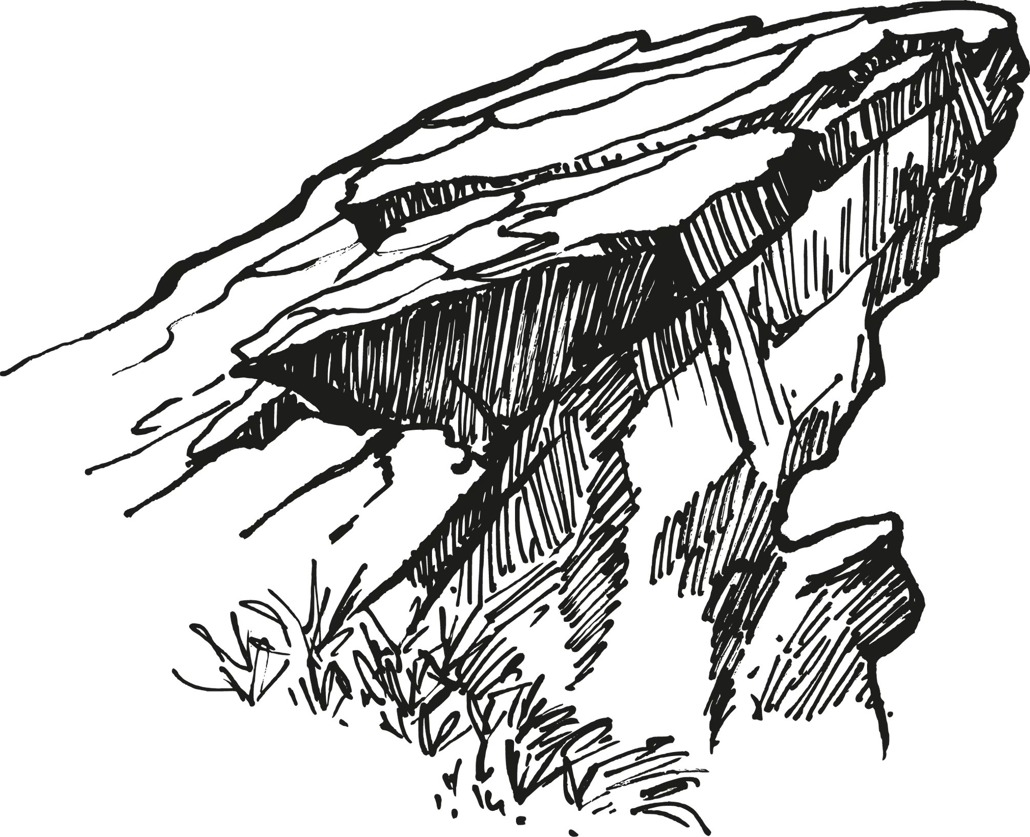 Bäume