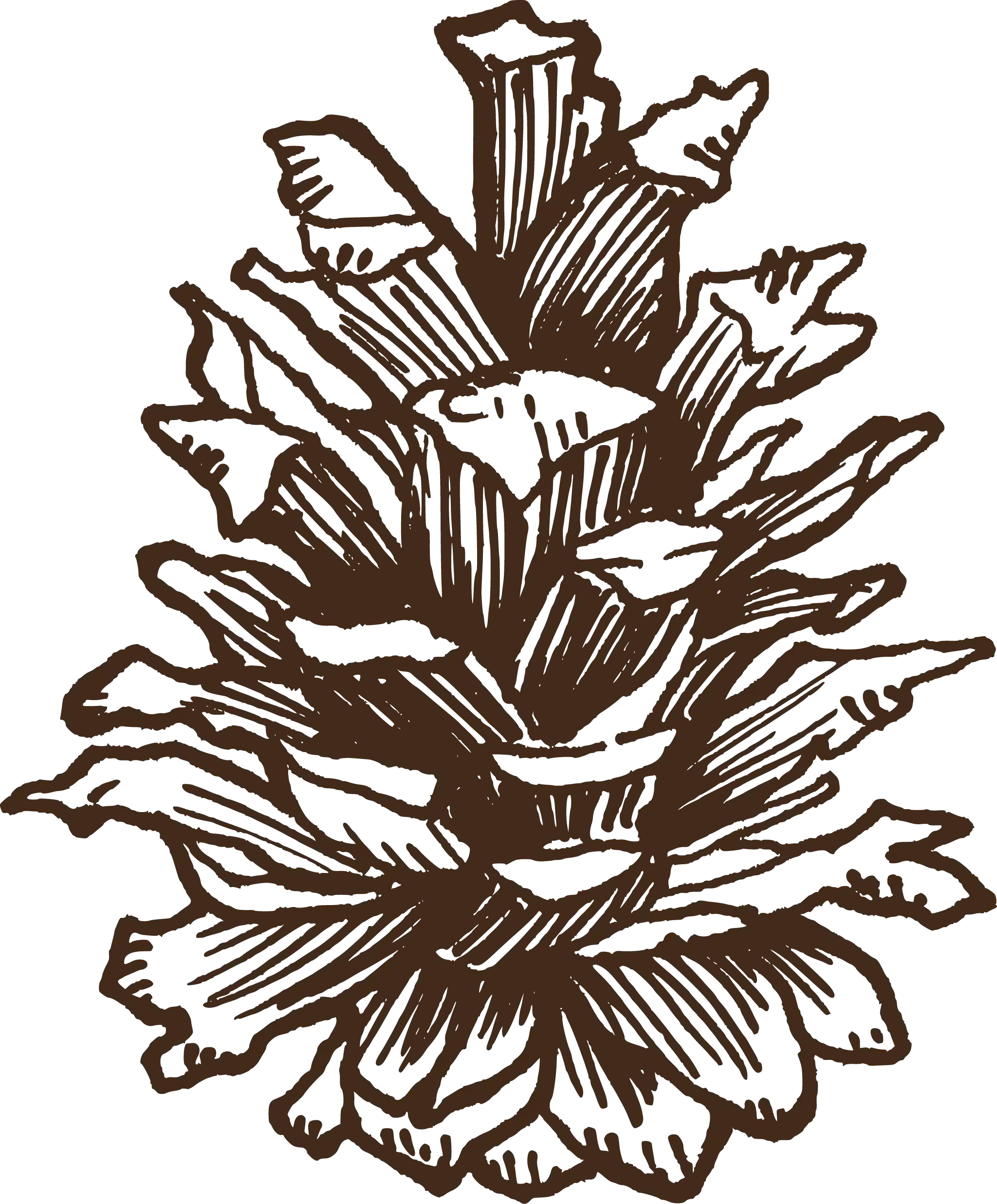 Bomen