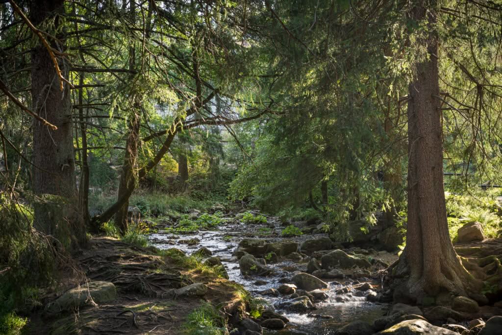 Kalte Bode in Schierke