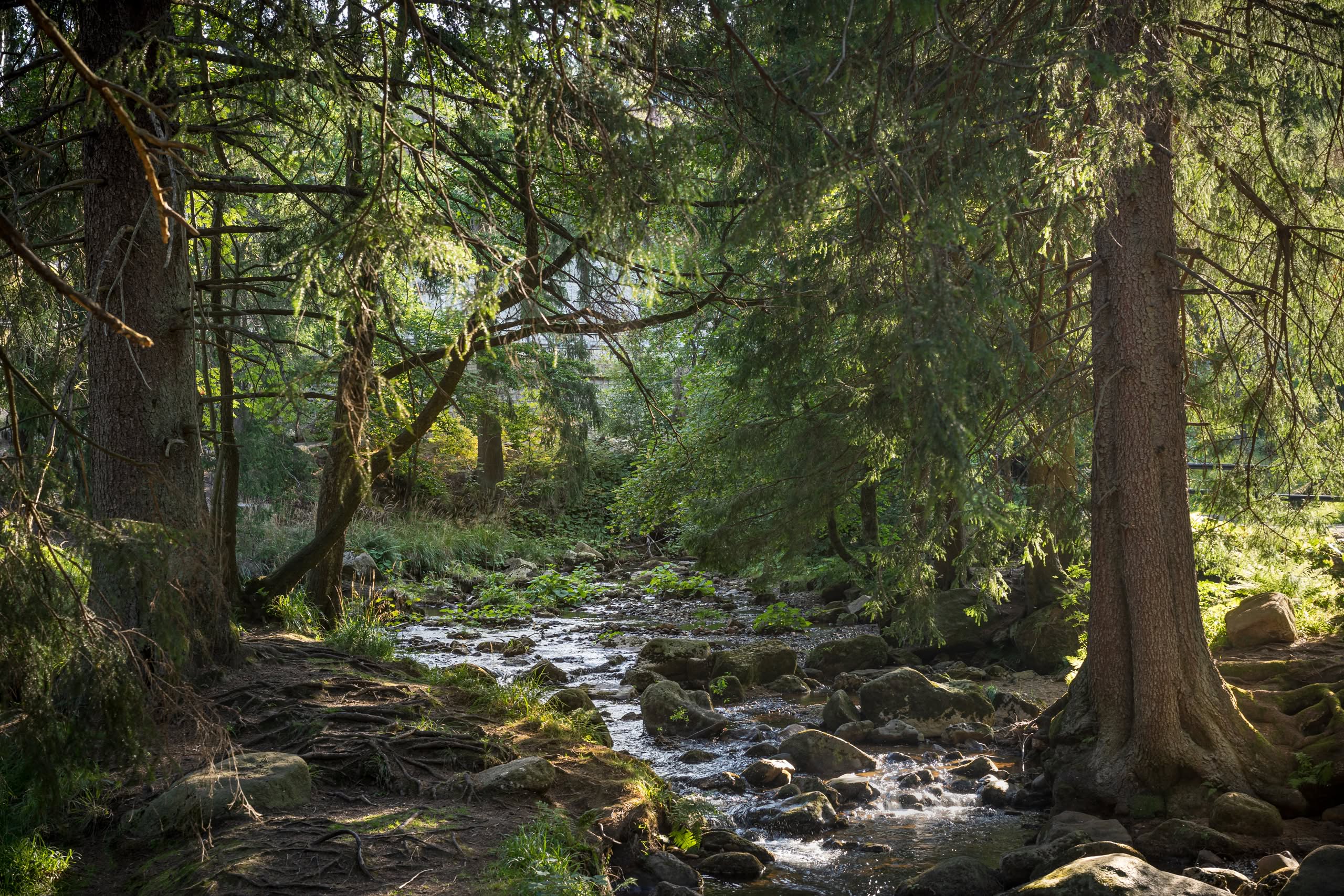 Kalte Bode in Schierke