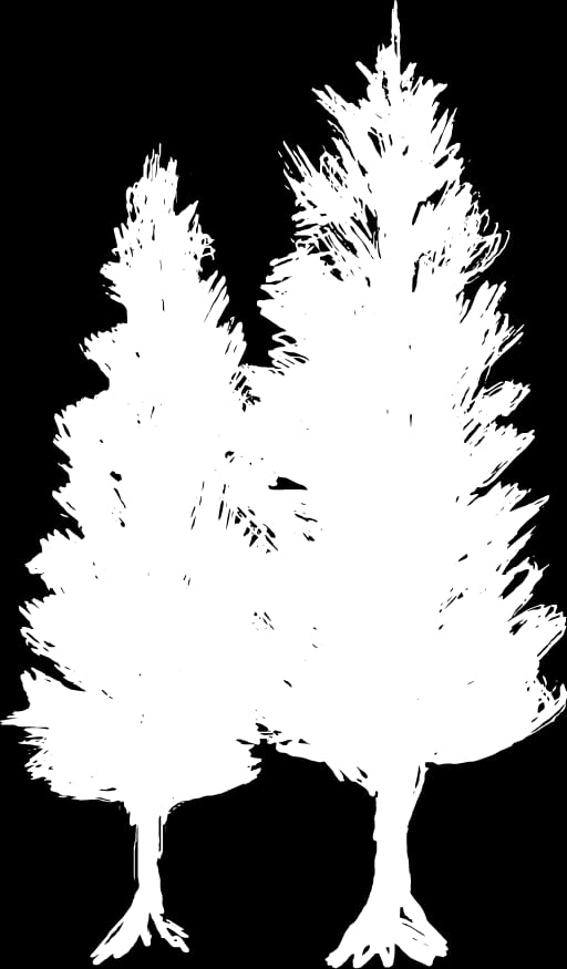 Bomen