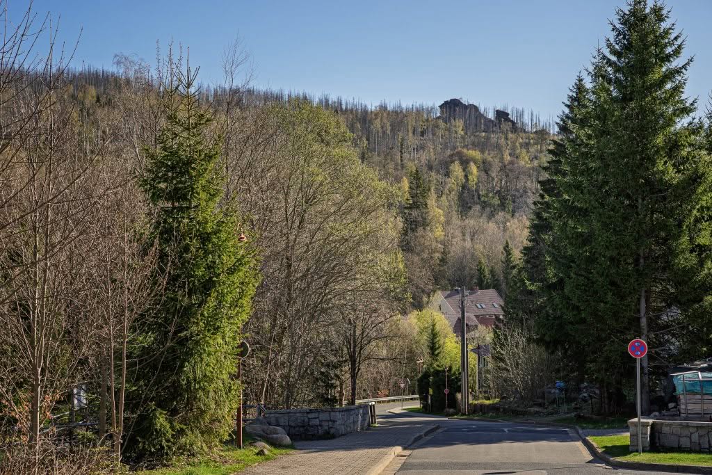 Bjerglandskab med skov og landsbyvej om foråret
