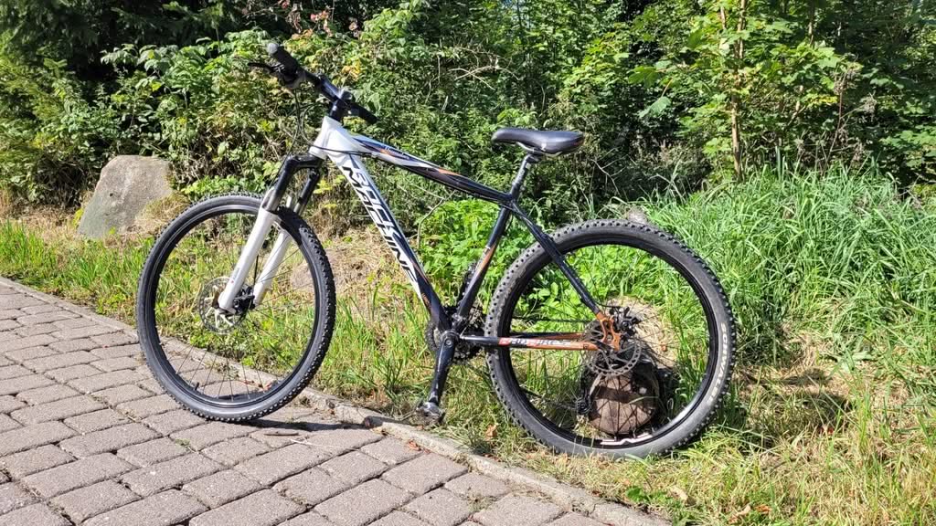 Mountainbike am Wegesrand im Grünen