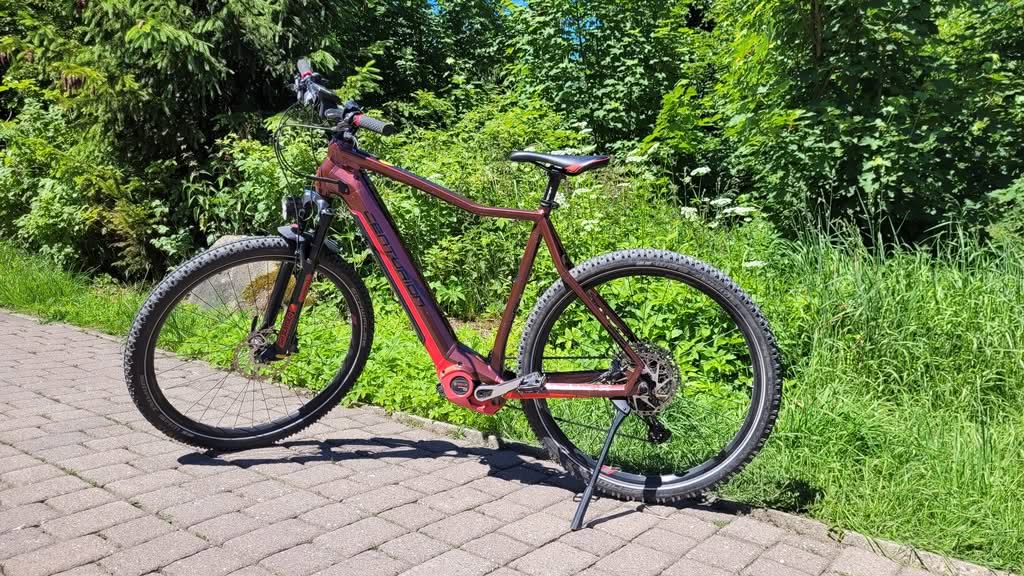 Rotes E-Mountainbike auf Waldweg im Grünen