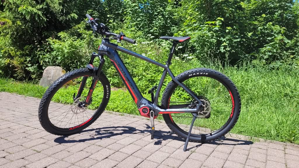 Modernes E-Mountainbike auf gepflastertem Weg im Grünen