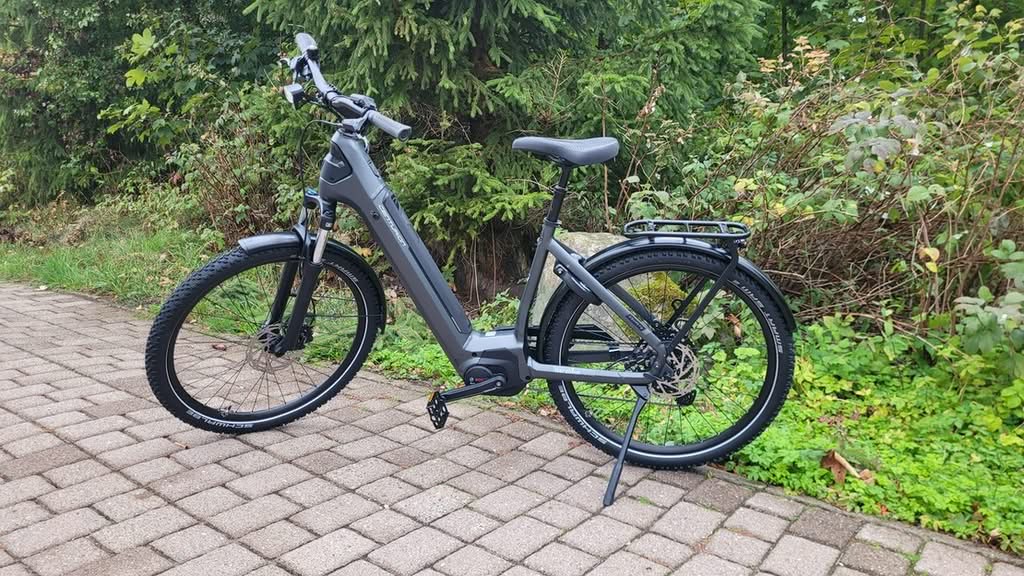 Graues E-Bike auf gepflastertem Weg im Grünen